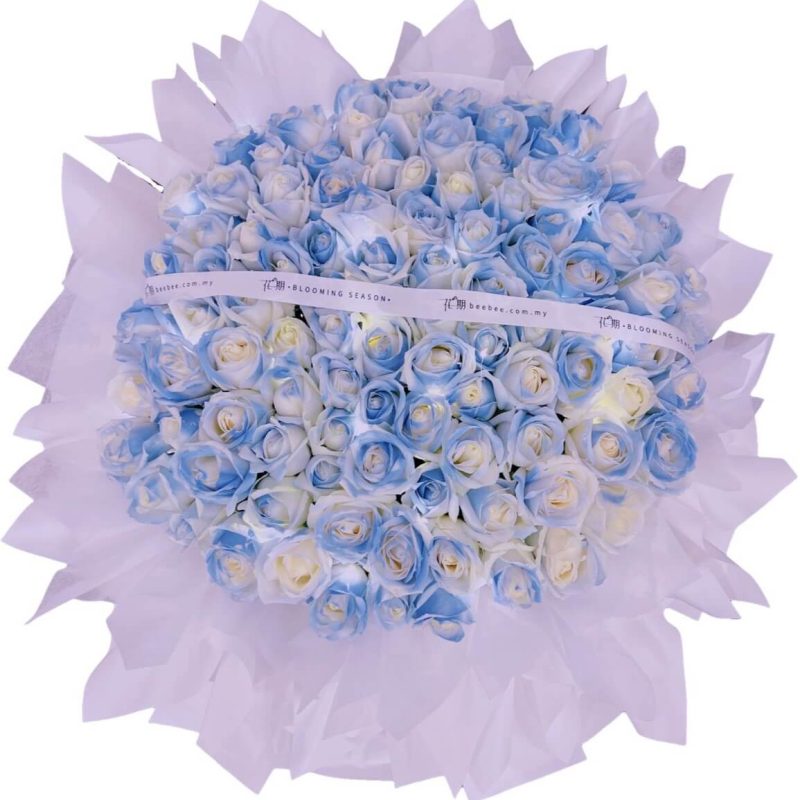 Luna <span>BB049</span>