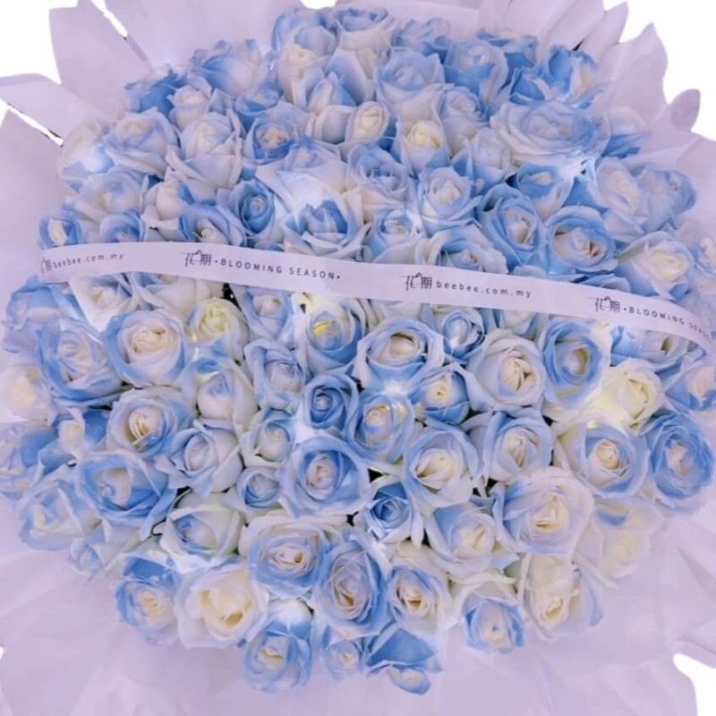 Luna <span>BB049</span>
