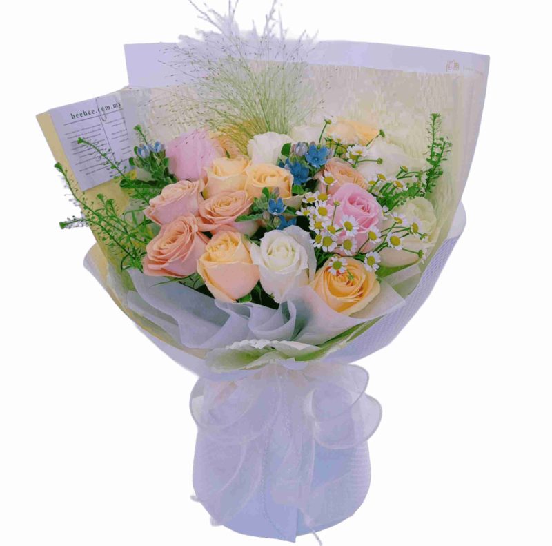 Zoe <span>BB067</span>