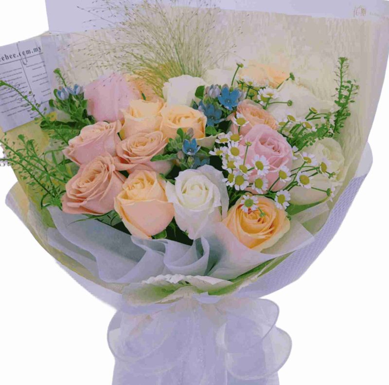 Zoe <span>BB067</span>