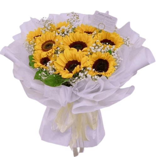 Sunny <span>BB120</span>