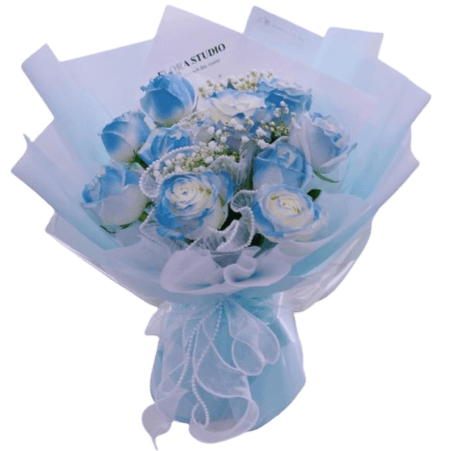 Bleu <span>BB134</span>