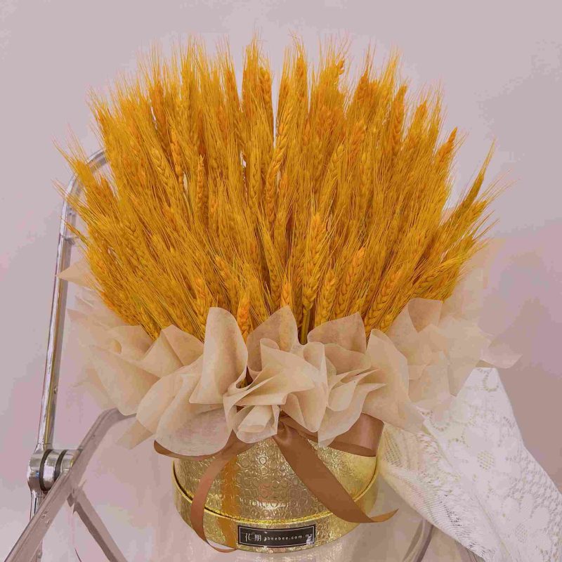 Goldie <span>DD014</span>